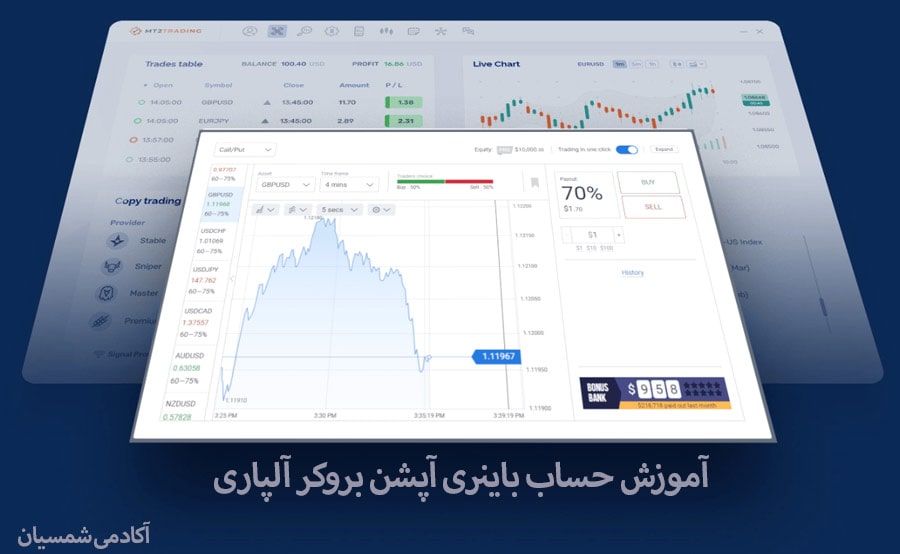 عکس از محیط باینری آپشن آلپاری