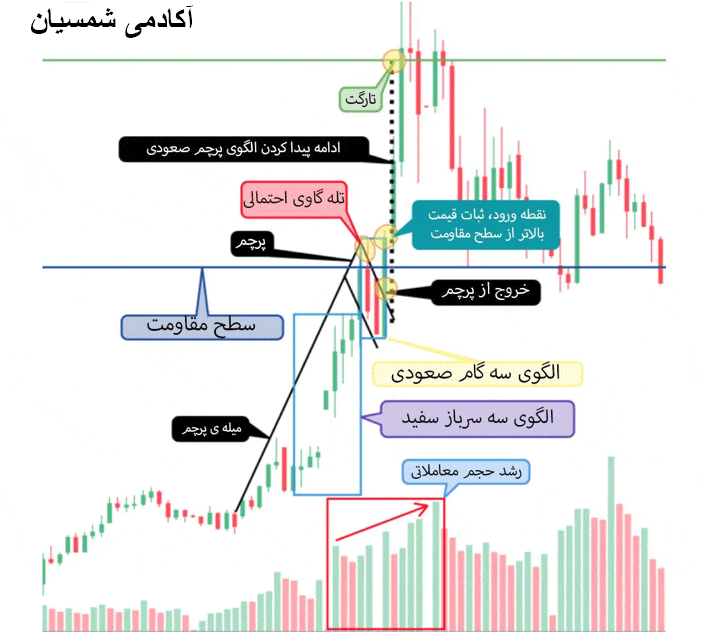 چگونه از تلهی گاوی جلوگیری کنیم