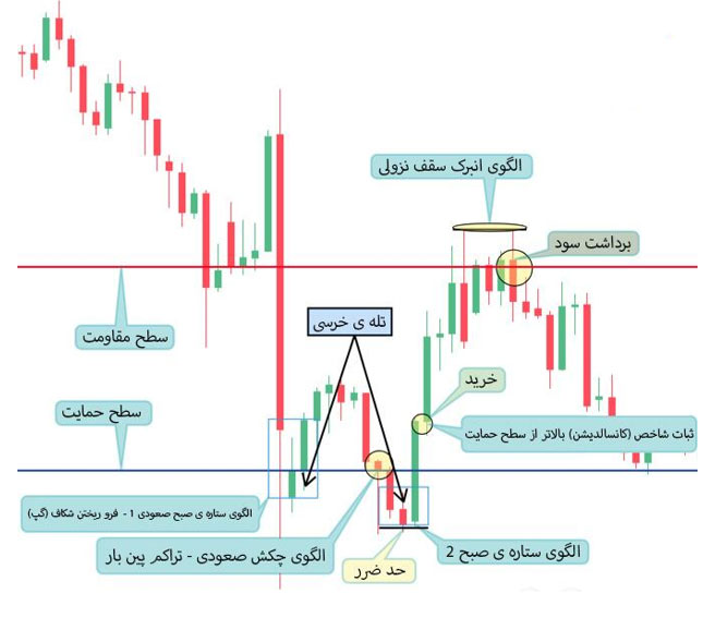مثال تله خرسی