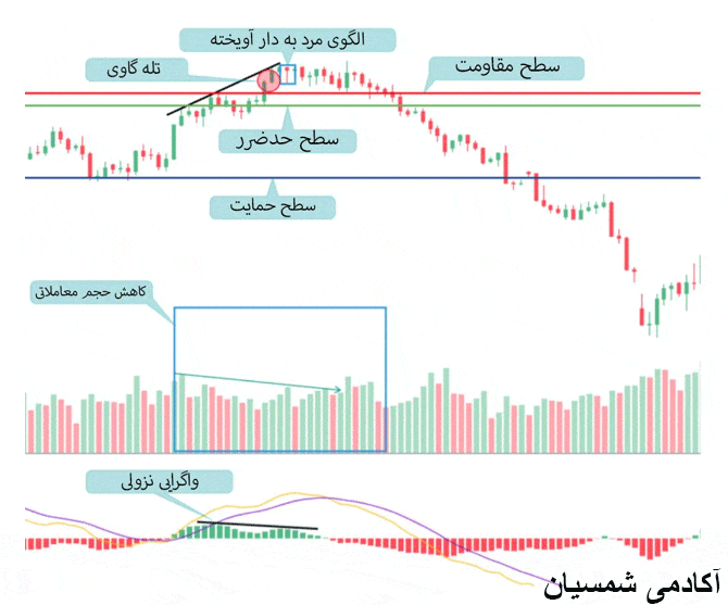 مثال دیگری از تله گاوی