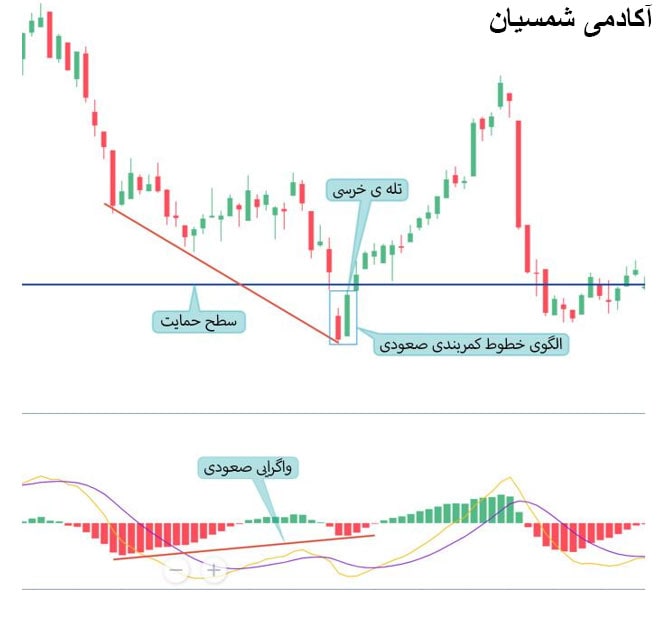 مثال دوم تله خرسی
